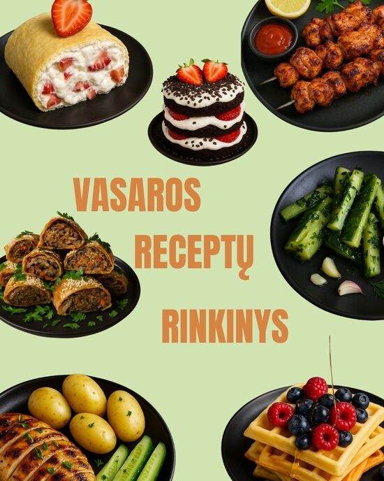 Vasaros receptų rinkinys PDF formatu